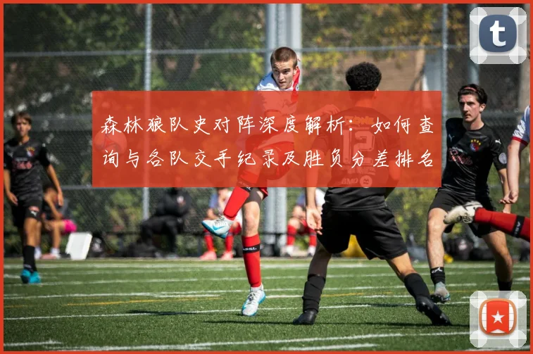 森林狼队史对阵深度解析：如何查询与各队交手纪录及胜负分差排名